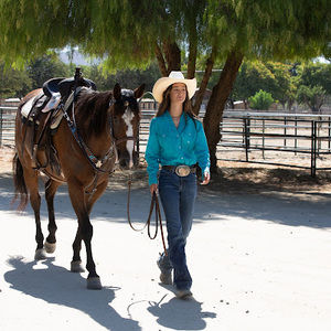 Meet your Posher, Laney